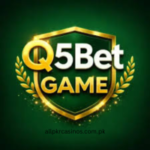 Q5Bet Game