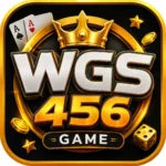 WGS456 GAME