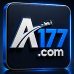 AT177 Game