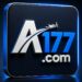 AT177 Game