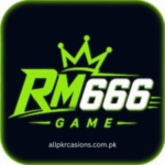 RM666 GAME